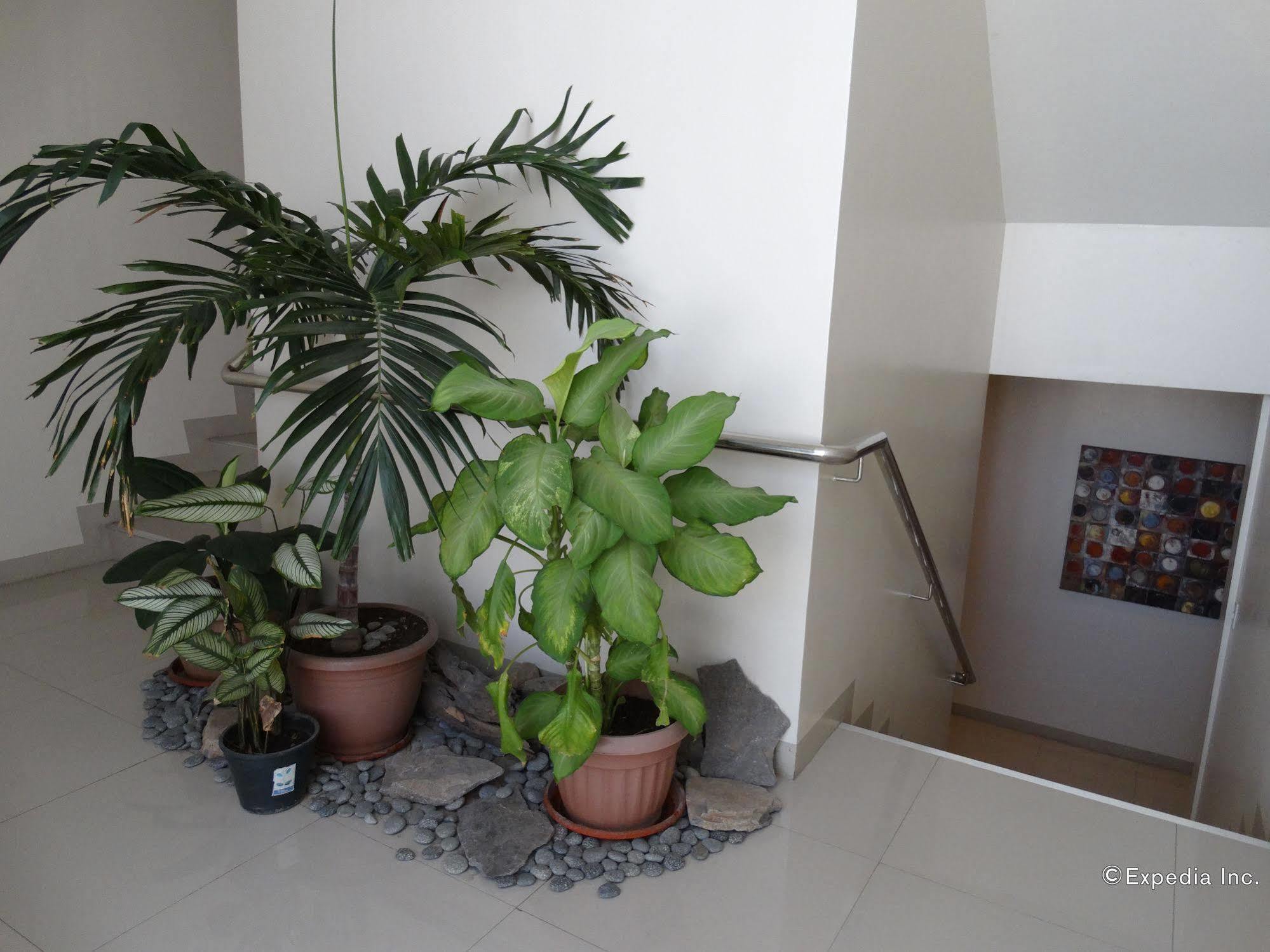 Davao City Infinity Suites מראה חיצוני תמונה